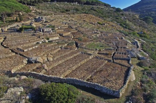 I vigneti sono tutti circondati da muretti a secco