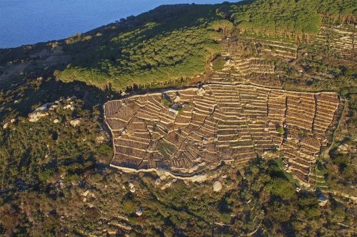 Vigneti che ci ricordano tanto i celeberrimi clos francesi